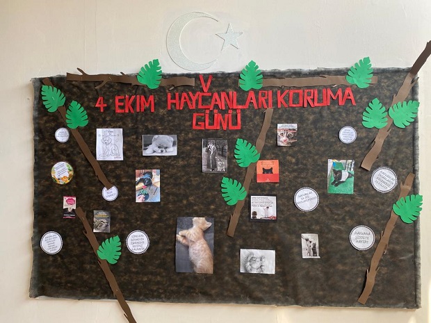 4 Ekim Hayvanları Koruma Günü 